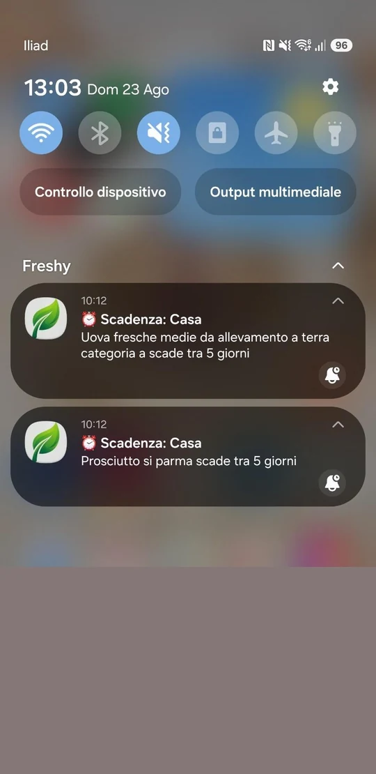 Gli avvisi di scadenza sul telefono